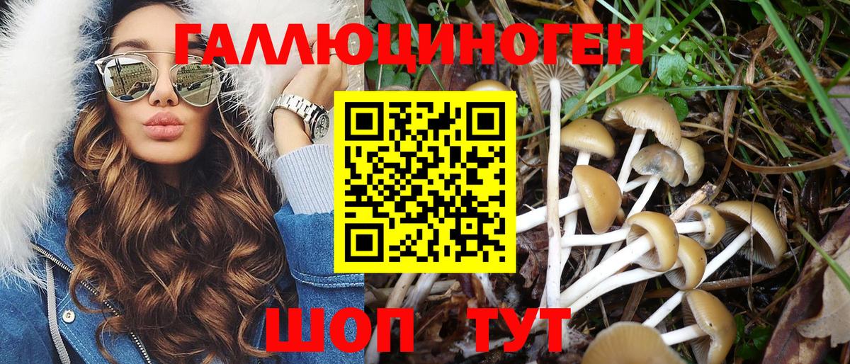 Галлюциногенные грибы мухоморы  Вход с VPN  Галлюциногенные грибы Cubensis  Кимовск 