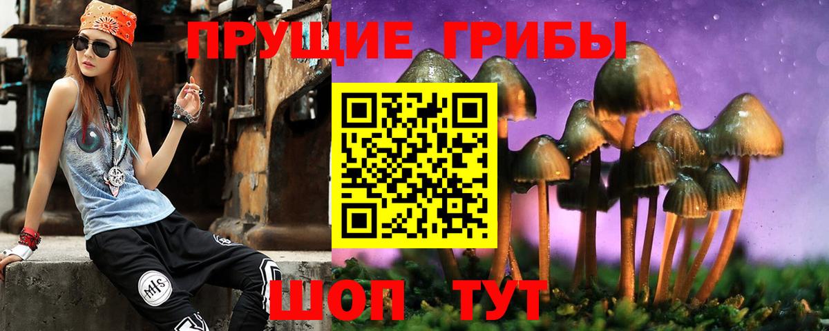 Псилоцибиновые грибы Cubensis Кимовск